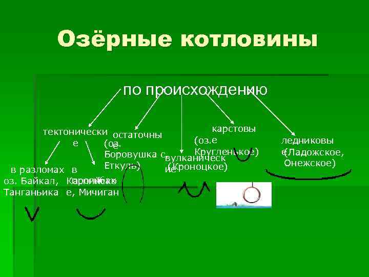 Озёрные котловины по происхождению карстовы тектонически остаточны (оз. е е (оз. е Кругленькое) Боровушка