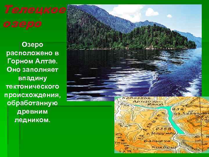 Телецкое озеро Озеро расположено в Горном Алтае. Оно заполняет впадину тектонического происхождения, обработанную древним