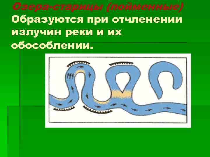 Озера-старицы (пойменные) Образуются при отчленении излучин реки и их обособлении. 