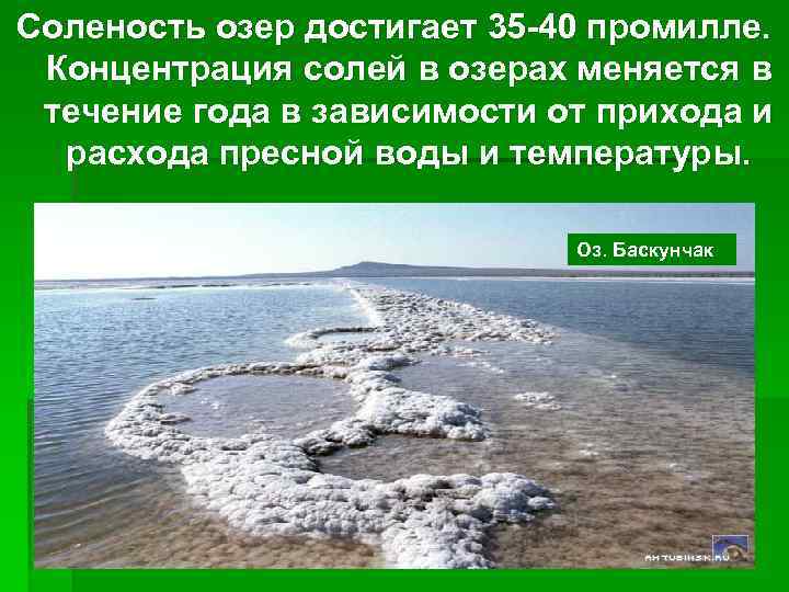 О каком озере идет. Соленость озер. Соленость озера Баскунчак. Соленость озера Баскунчак в промилле. Концентрация соли в озере.