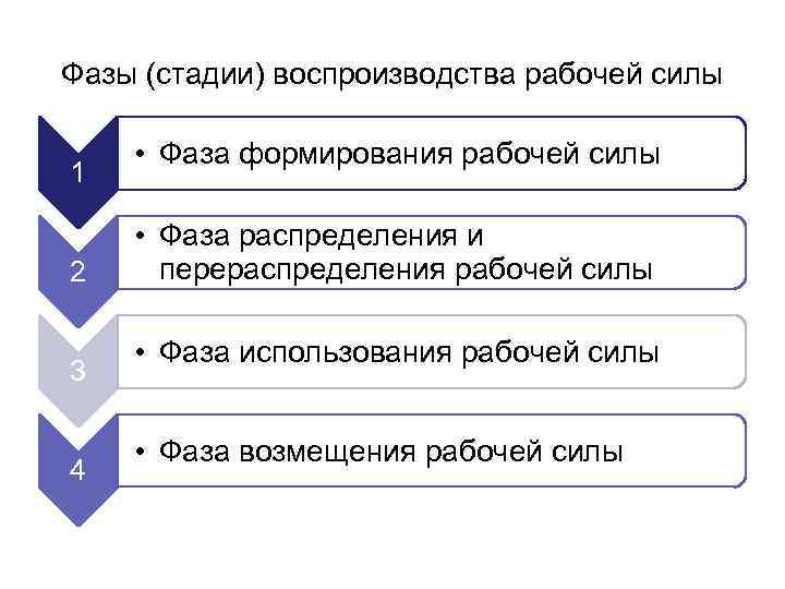 Фазы (стадии) воспроизводства рабочей силы 1 2 3 4 • Фаза формирования рабочей силы