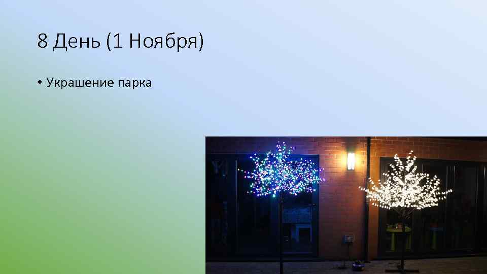 8 День (1 Ноября) • Украшение парка 