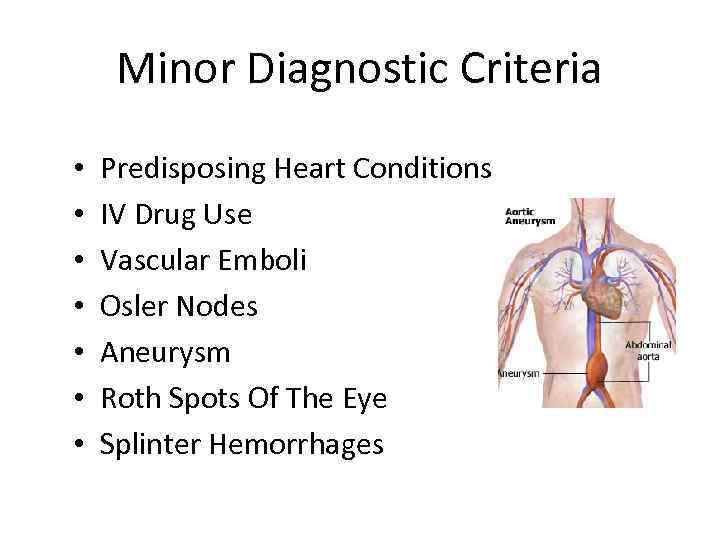 Minor Diagnostic Criteria • • Predisposing Heart Conditions IV Drug Use Vascular Emboli Osler