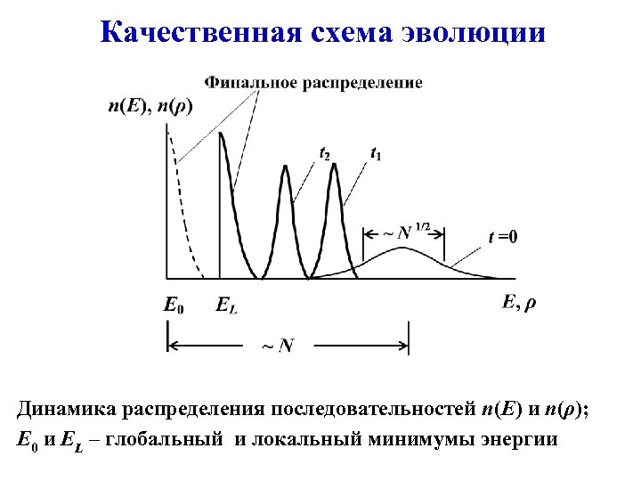 Качественная схема эволюции Динамика распределения последовательностей n(E) и n(ρ); E 0 и EL –