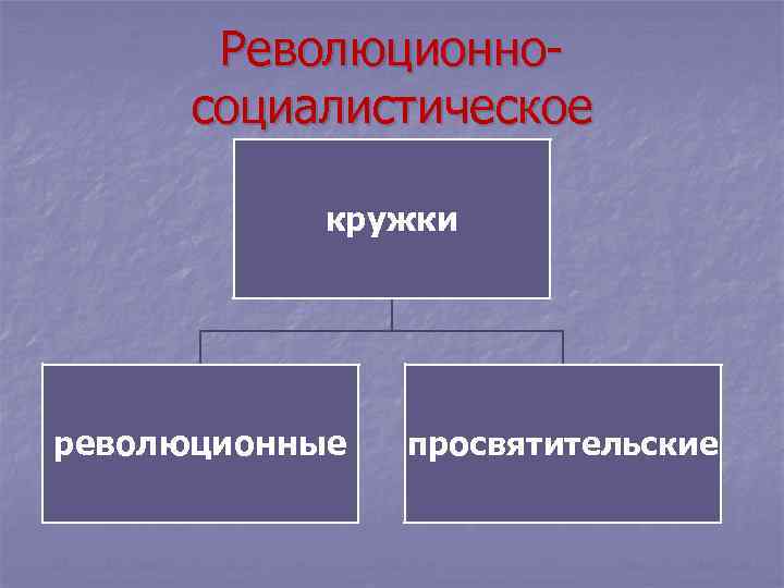 Революционносоциалистическое кружки революционные просвятительские 
