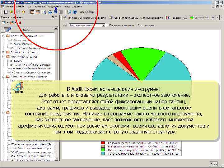 В Audit Expert есть еще один инструмент для работы с итоговыми результатами – экспертное