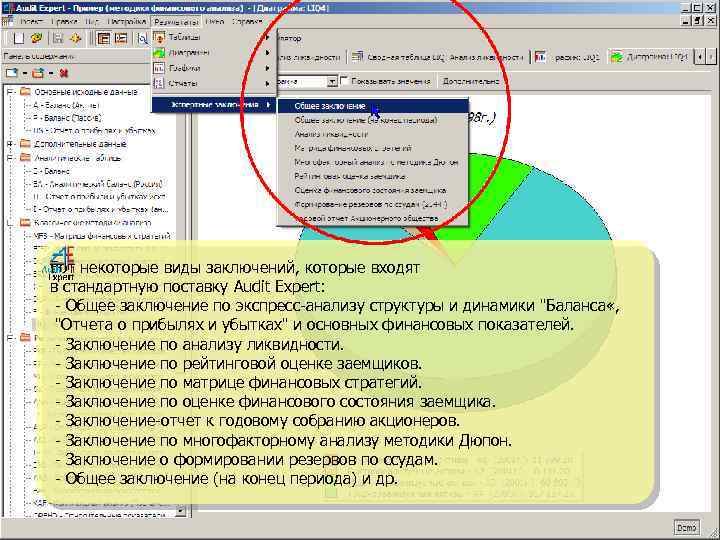 Вот некоторые виды заключений, которые входят в стандартную поставку Audit Expert: - Общее заключение