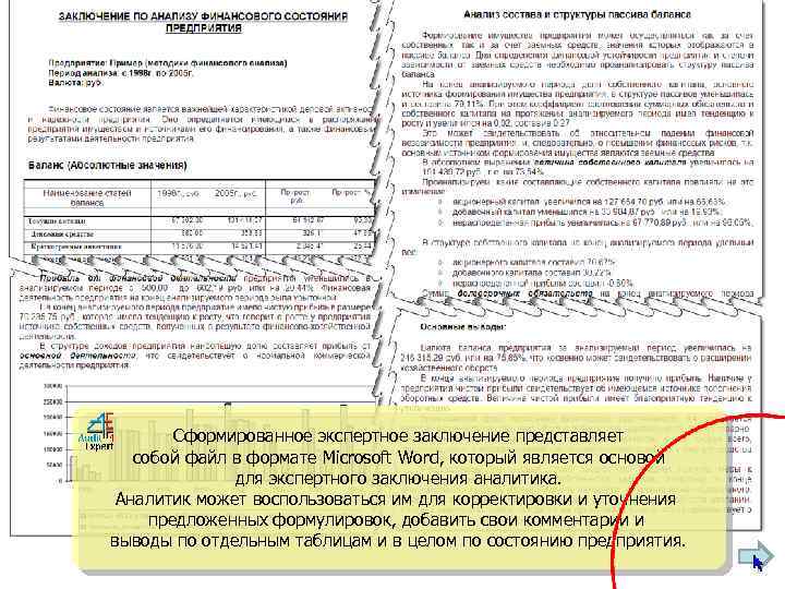 Сформированное экспертное заключение представляет собой файл в формате Microsoft Word, который является основой для