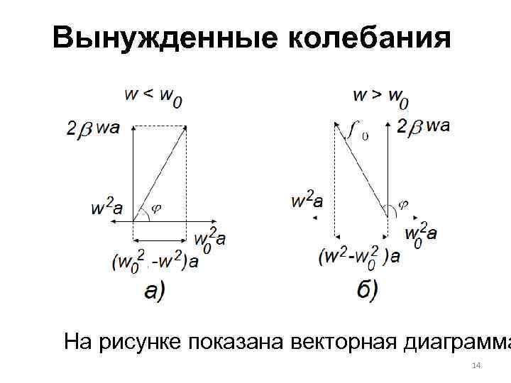 За амплитуду колебаний в фазокорреляционных диаграммах отвечает