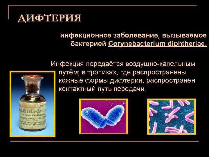 ДИФТЕРИЯ инфекционное заболевание, вызываемое бактерией Corynebacterium diphtheriae. Инфекция передаётся воздушно-капельным путём; в тропиках, где