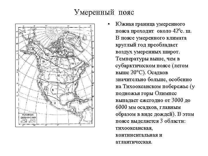Умеренный пояс • Южная граница умеренного пояса проходит около 42ºс. ш. В поясе умеренного