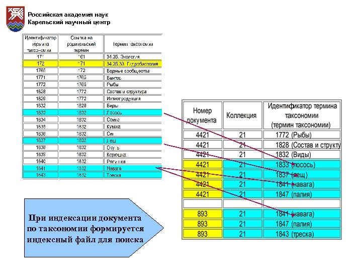 Российская академия наук Карельский научный центр При индексации документа по таксономии формируется индексный файл