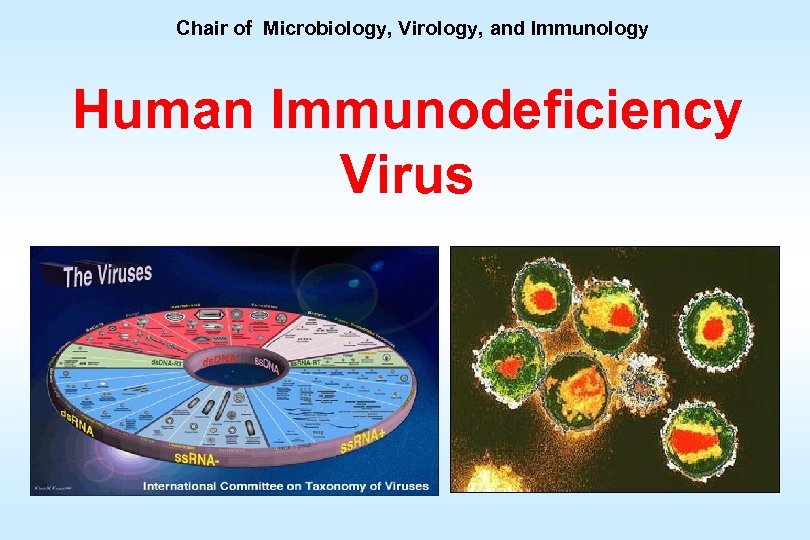 Chair of Microbiology, Virology, and Immunology Human Immunodeficiency Virus 