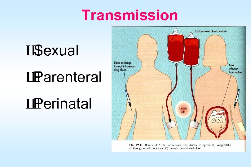 Transmission Ш Sexual Ш Parenteral Ш Perinatal 