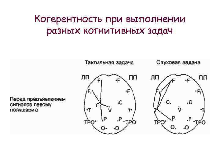 Когерентность при выполнении разных когнитивных задач 