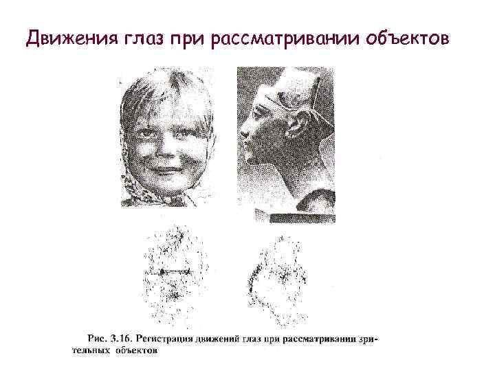 Движения глаз при рассматривании объектов 