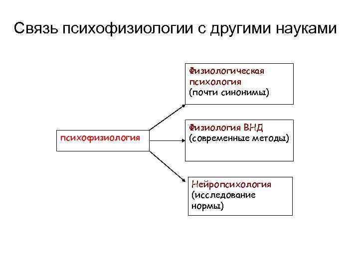 Связь нейропсихологии с другими науками схема