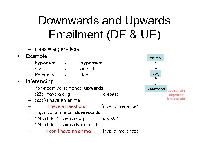 Downwards and Upwards Entailment (DE & UE) • – class ⇄ super-class Example: –