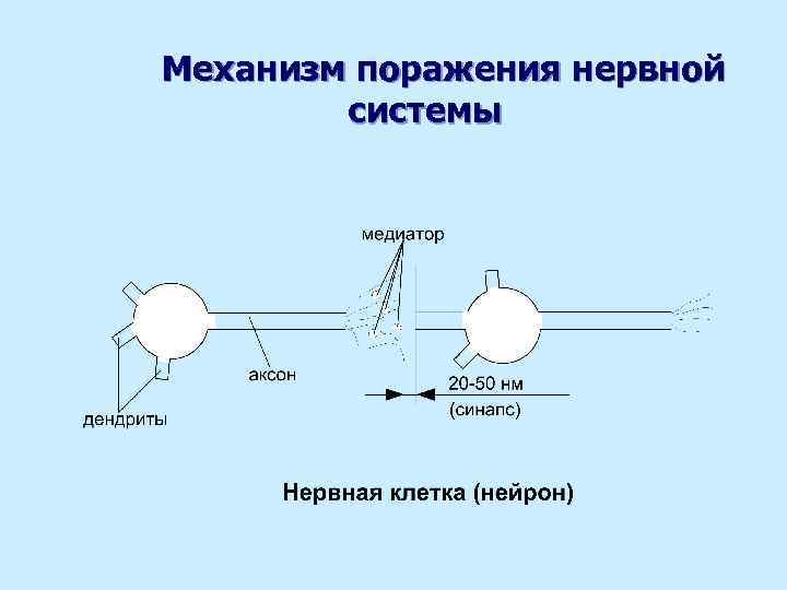 Механизм поражения нервной системы 