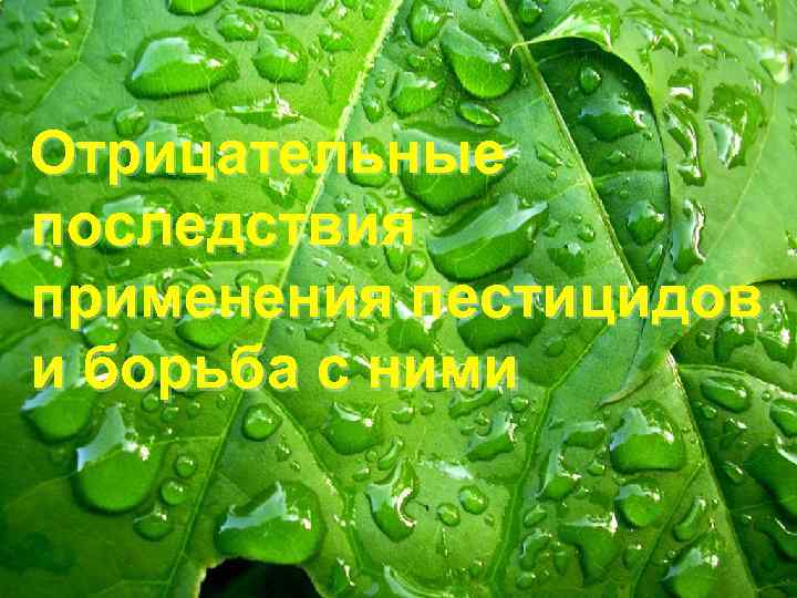 Отрицательные последствия применения пестицидов и борьба с ними 