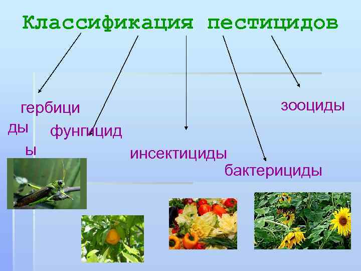 Классификация пестицидов зооциды гербици ды фунгицид ы инсектициды бактерициды 