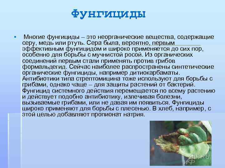 Фунгициды § Многие фунгициды – это неорганические вещества, содержащие серу, медь или ртуть. Сера