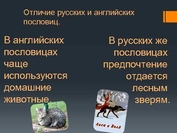 Отличие русских и английских пословиц. В английских пословицах чаще используются домашние животные. В русских