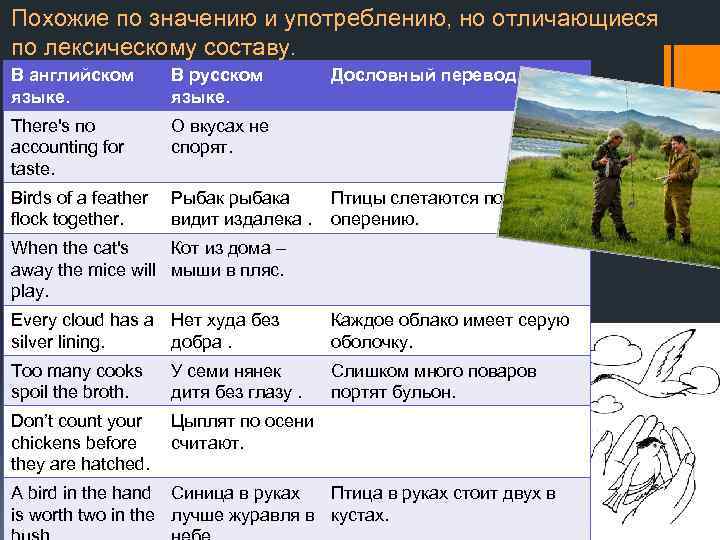 Похожие по значению и употреблению, но отличающиеся по лексическому составу. В английском языке. В