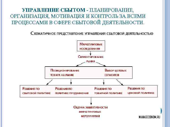 Презентация организация и управление торгово сбытовой деятельностью