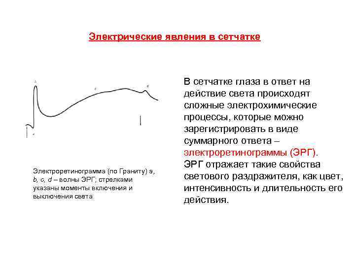 Электрические явления в сетчатке Электроретинограмма (по Граниту) a, b, с, d – волны ЭРГ;