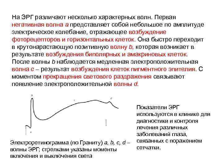 На ЭРГ различают несколько характерных волн. Первая негативная волна а представляет собой небольшое по