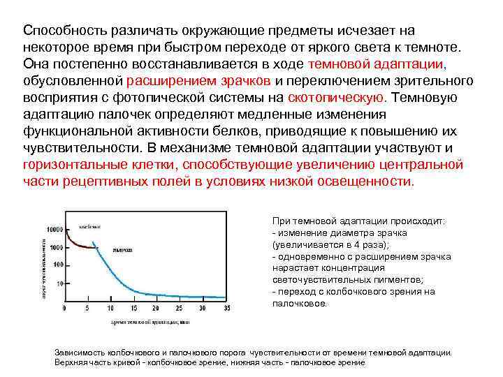 Способность различать окружающие предметы исчезает на некоторое время при быстром переходе от яркого света