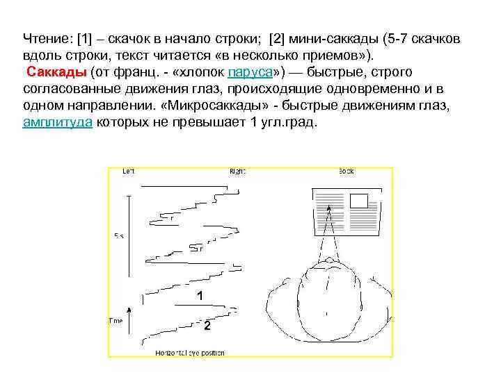 Чтение: [1] – скачок в начало строки; [2] мини-саккады (5 -7 скачков вдоль строки,