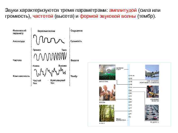 Звуки характеризуются тремя параметрами: амплитудой (сила или громкость), частотой (высота) и формой звуковой волны