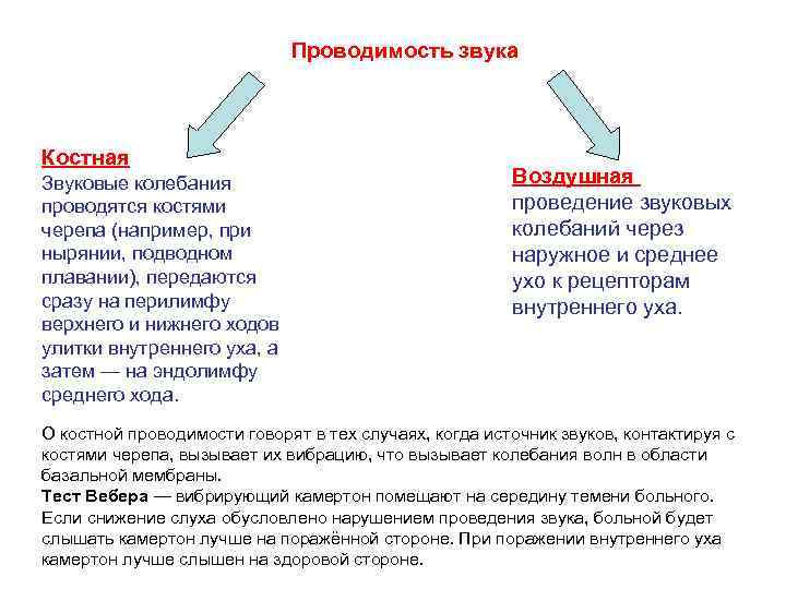 Проводимость звука Костная Звуковые колебания проводятся костями черепа (например, при нырянии, подводном плавании), передаются
