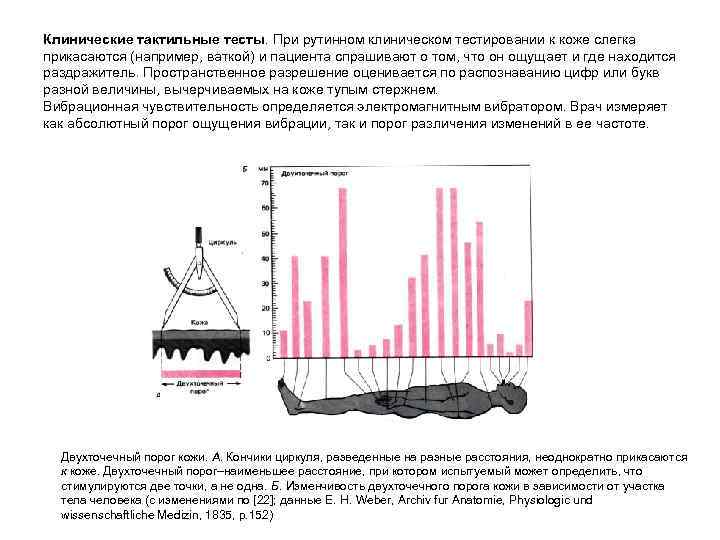 Клинические тактильные тесты. При рутинном клиническом тестировании к коже слегка прикасаются (например, ваткой) и