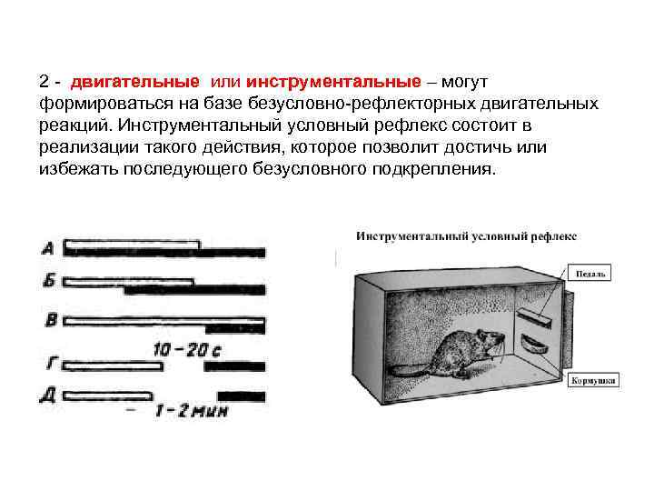 2 двигательные или инструментальные – могут формироваться на базе безусловно рефлекторных двигательных реакций. Инструментальный