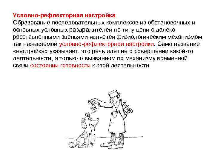 Условно-рефлекторная настройка Образование последовательных комплексов из обстановочных и основных условных раздражителей по типу цепи