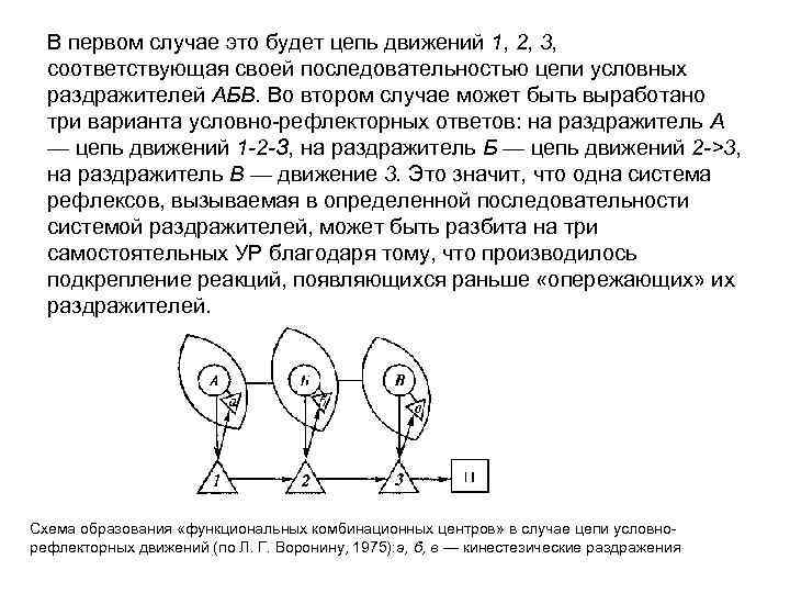 В первом случае во втором. В первом случае. Последовательно цепь условно рефлекторных реакций. Если в первом случае, то во втором случае. Кембриджская задача движение цепи.