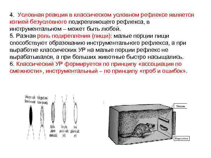 Условная реакция это