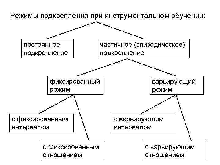 Подкрепление по скиннеру. Схемы подкрепления Скиннера. 4 Схемы подкрепления Скиннера. Режимы подкрепления Скиннера. Скиннер схема подкрепления.