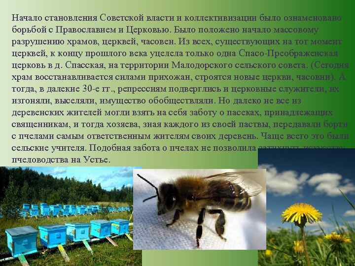 Начало становления Советской власти и коллективизации было ознаменовано борьбой с Православием и Церковью. Было