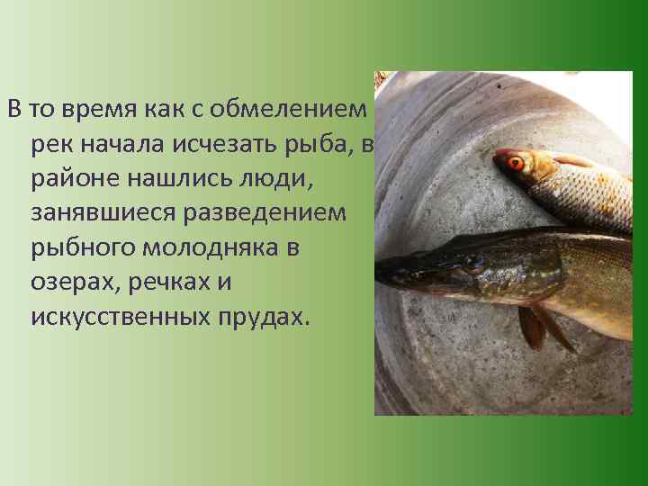 В то время как с обмелением рек начала исчезать рыба, в районе нашлись люди,