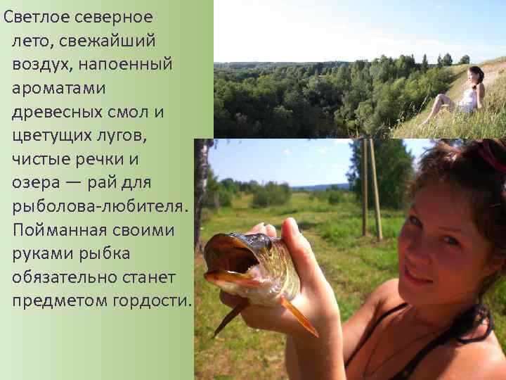 Светлое северное лето, свежайший воздух, напоенный ароматами древесных смол и цветущих лугов, чистые речки