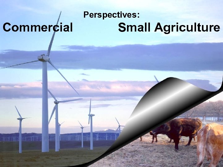 Perspectives: Commercial Small Agriculture CESAS 