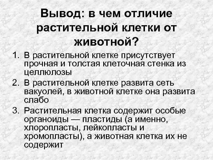 Вывод: в чем отличие растительной клетки от животной? 1. В растительной клетке присутствует прочная