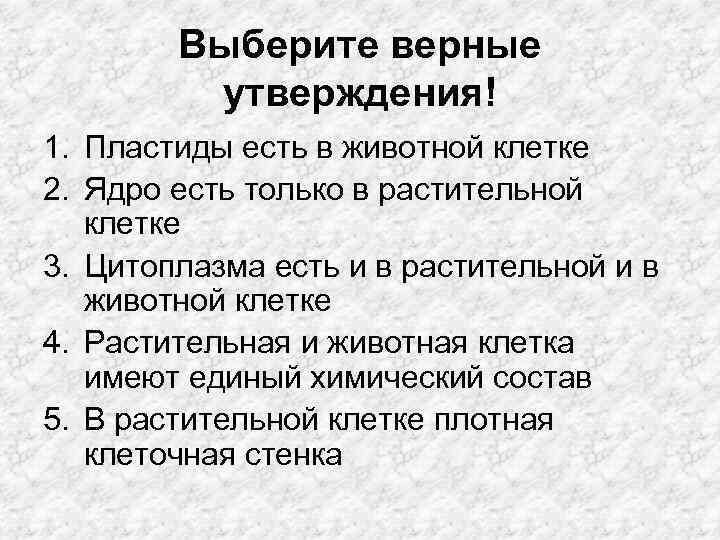Выберите верные утверждения! 1. Пластиды есть в животной клетке 2. Ядро есть только в