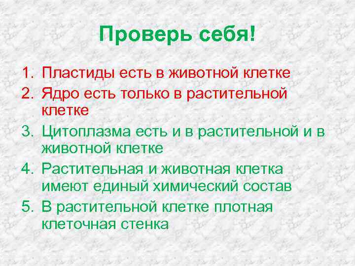 Проверь себя! 1. Пластиды есть в животной клетке 2. Ядро есть только в растительной