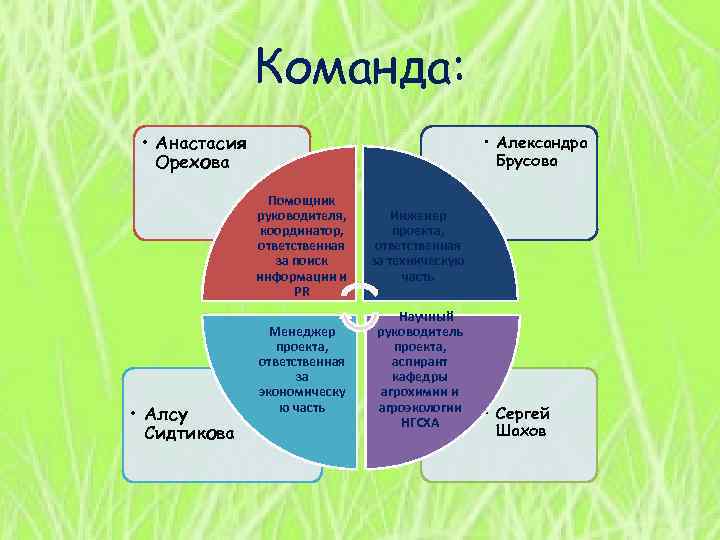 Команда: • Анастасия Орехова • Александра Брусова Помощник руководителя, координатор, ответственная за поиск информации