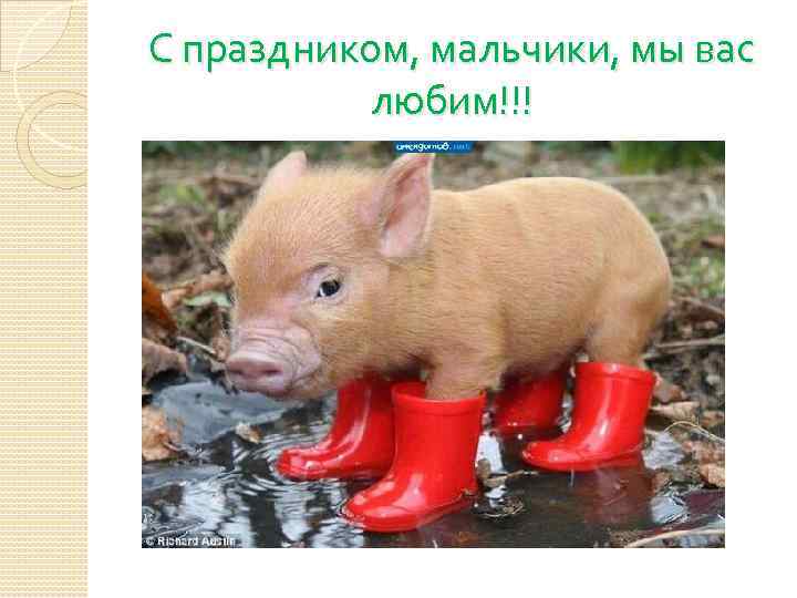 С праздником, мальчики, мы вас любим!!! 